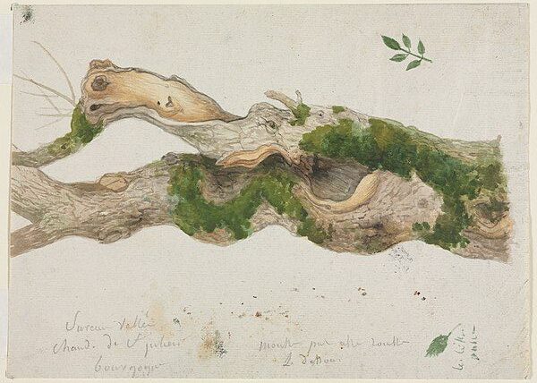 Hypnum mech Oliwia Klara Tarot Samorozwój